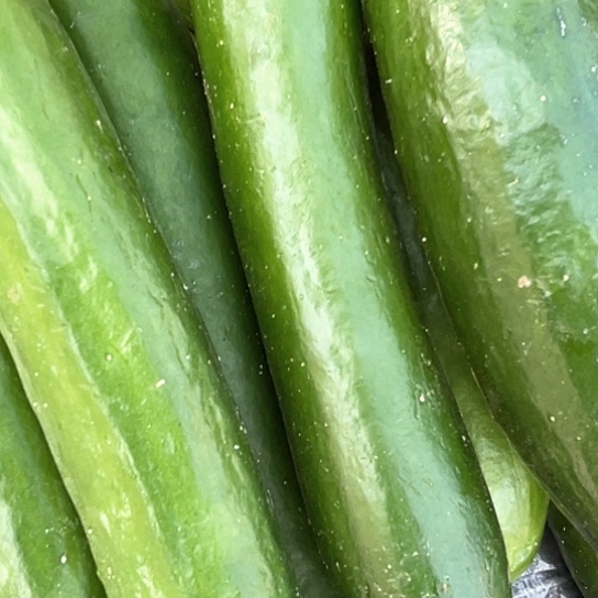 中国大陆黄瓜两斤含箱赶集