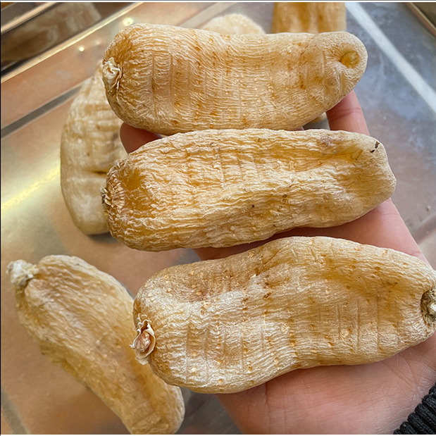 深山天然干乌红天麻恩施硒都滋补佳品可煲汤泡酒