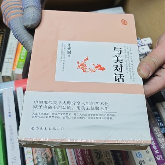 与美对话平装库存书