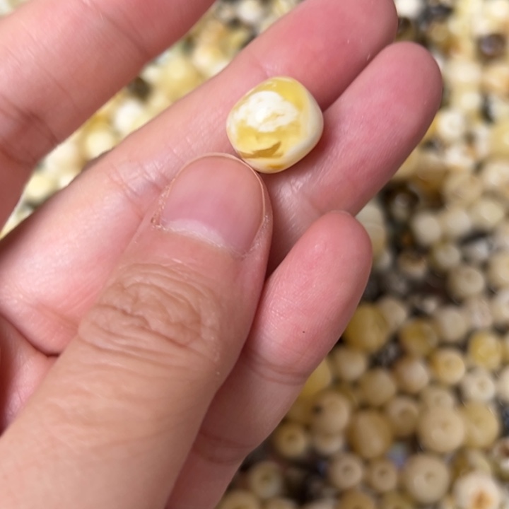 蜜蜡未镶嵌裸石12.1mm一个