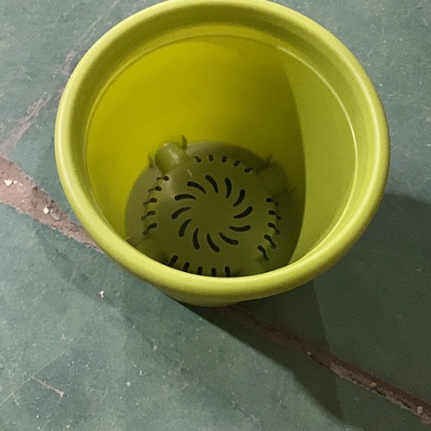 树脂四季2号果绿带托12套