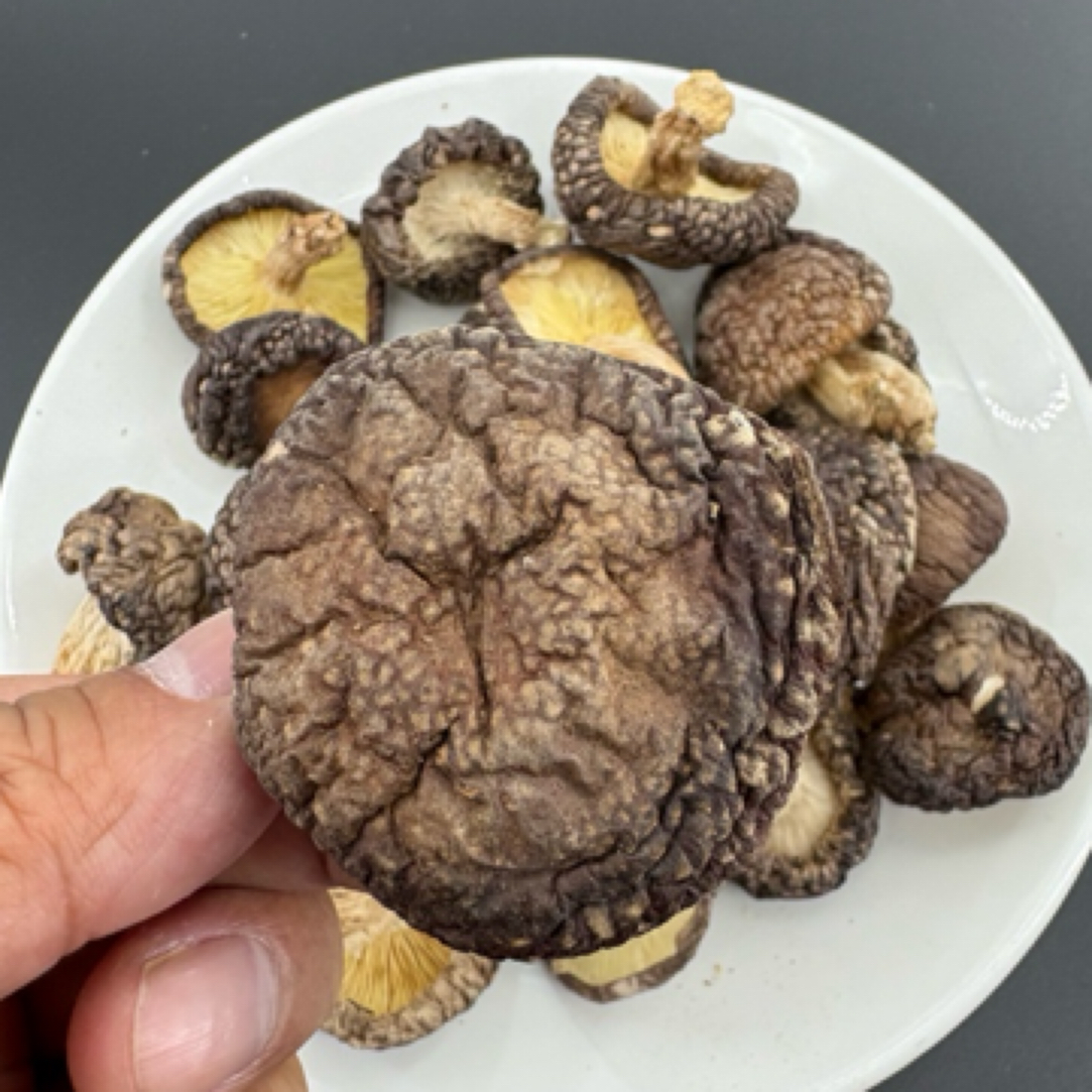 粤北南雄特级椴木干香菇菌菇