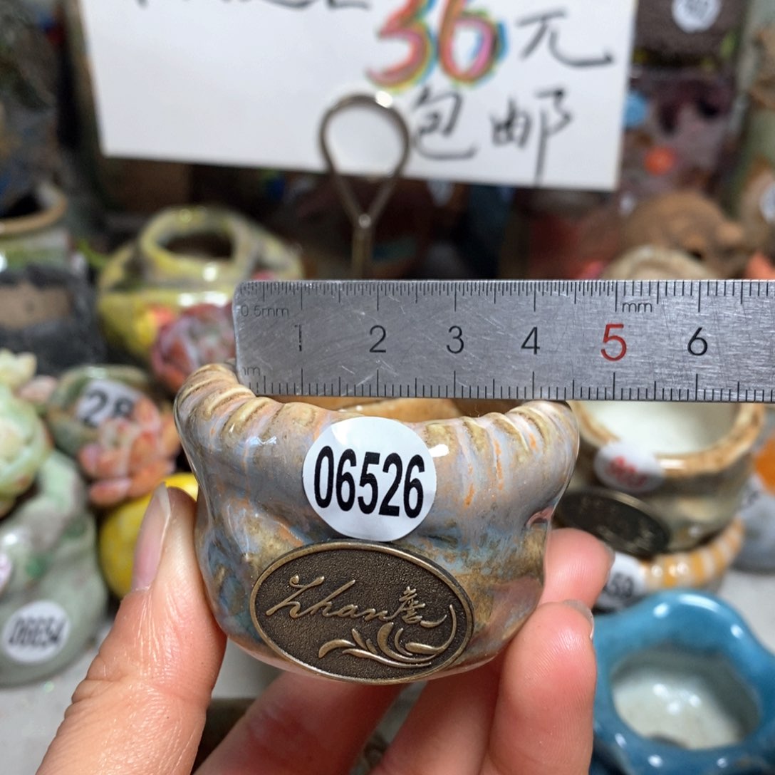 花盆拍5送一个小礼物