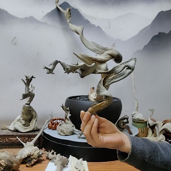 柏木木头款原皮扭曲飘