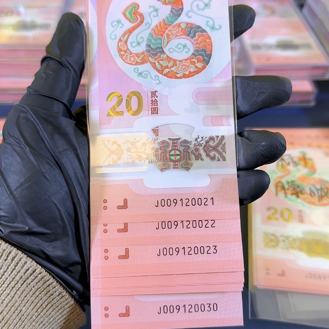 塑料生肖蛇朦胧号标十