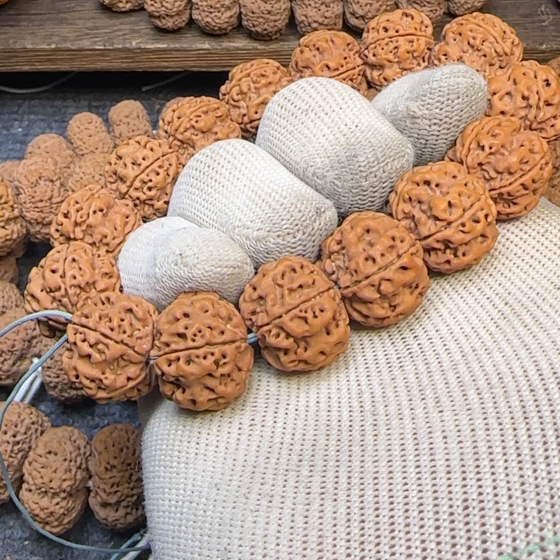 菩提金刚菩提21蜂窝双龙