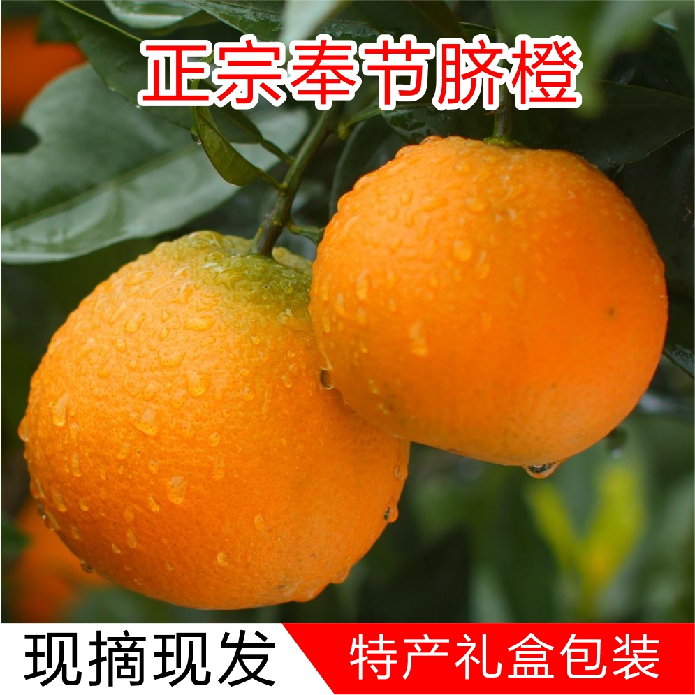 【奉节脐橙】正宗皮薄肉厚果园直发新鲜带叶鲜甜爆汁应季橙子5斤装