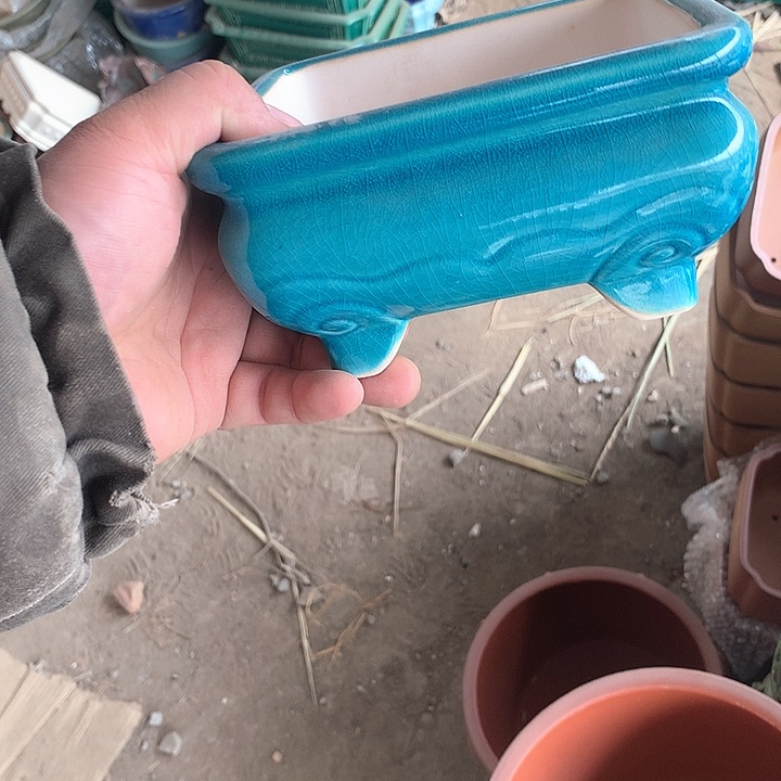 紫砂淘宝优惠券起单曲