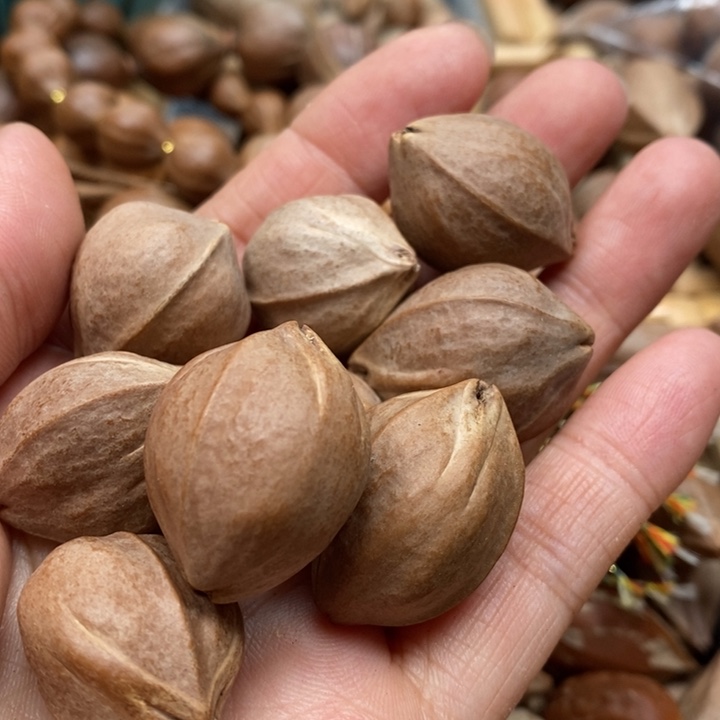 吊坠橄榄核人****