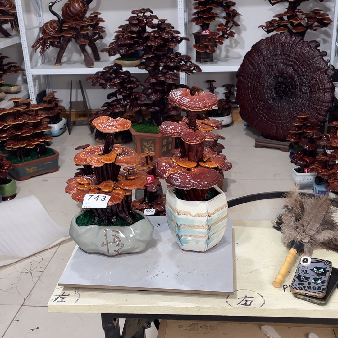 无花朵88888888888888