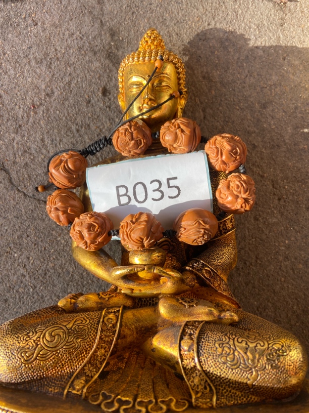 精选商品.替代链接金刚菩提035