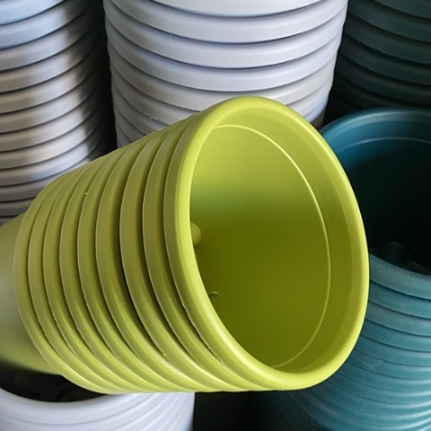 树脂四季1号果绿带托10套