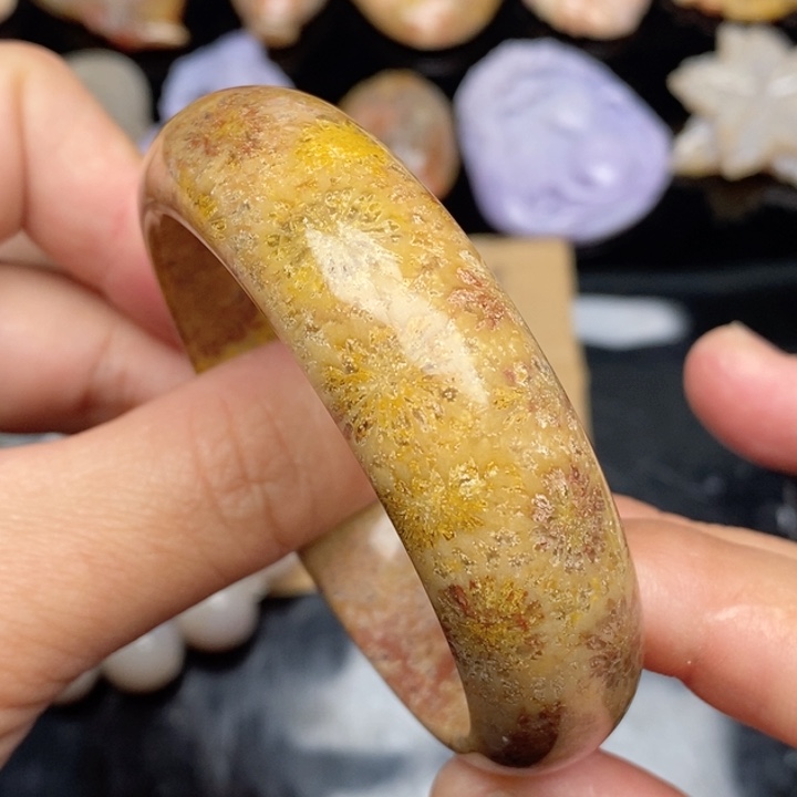 硅化珊瑚（珊瑚玉）手镯未镶嵌53