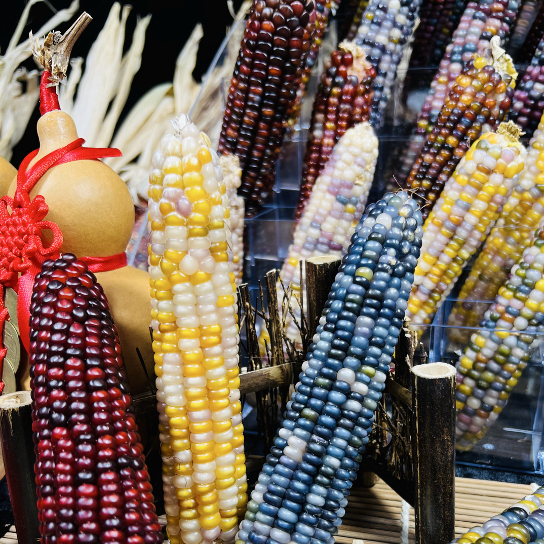 直播间一物一拍，原相机拍摄图片仅供参考（私拍随机发）偏远不包邮