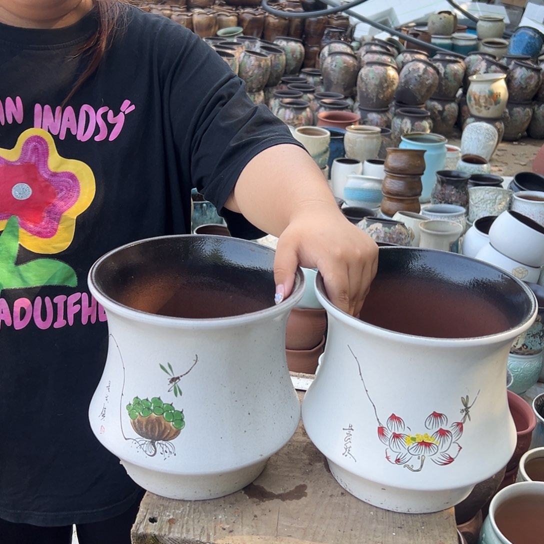 口径20高20蜻蜓莲子蜻蜓荷花混搭