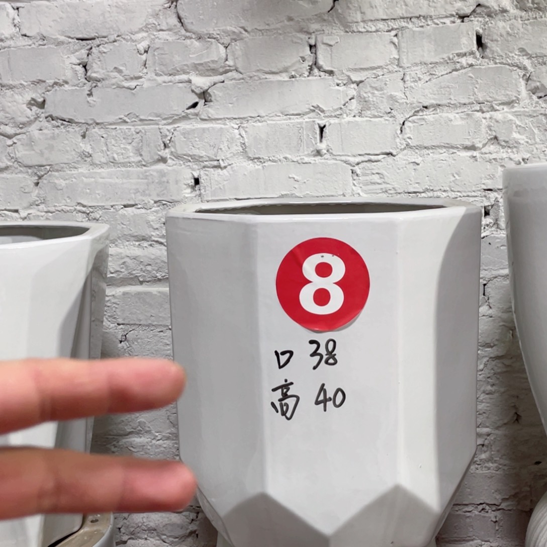 陶瓷8号特大号白色2个正常品