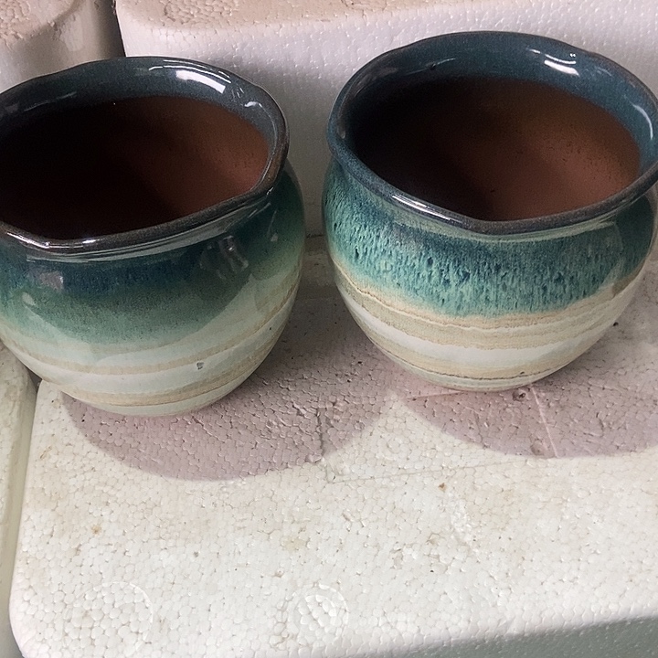 红糖16。。。16。。。。。。