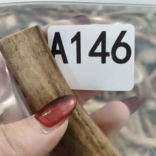 远***杉鹿角鹿角鹿角鹿角鹿角鹿 