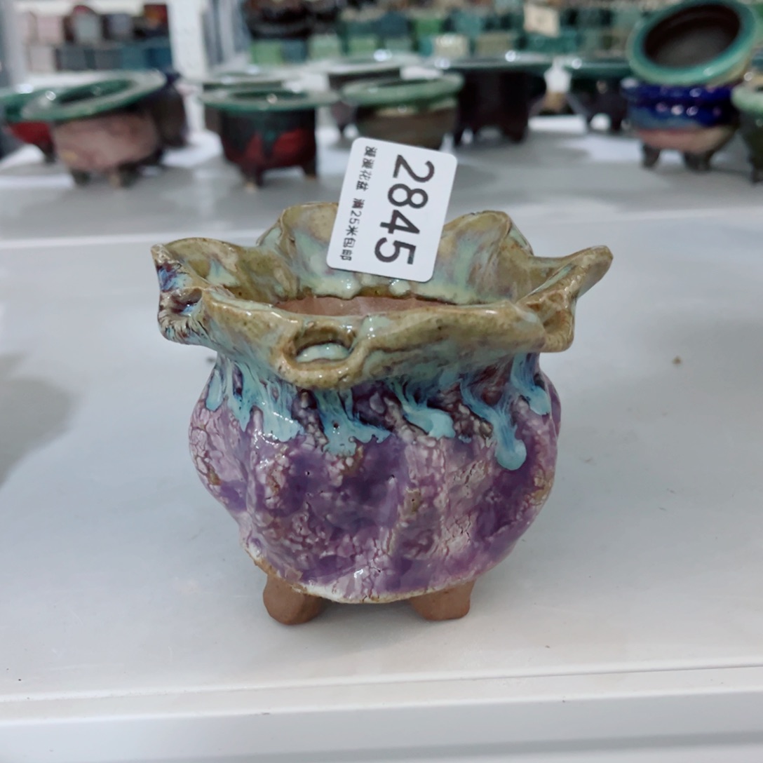 景德镇手工制作瑕疵2845口8