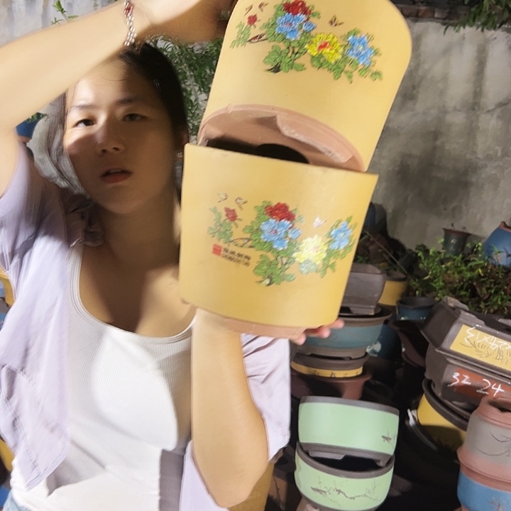 花开富贵小号一对花盆
