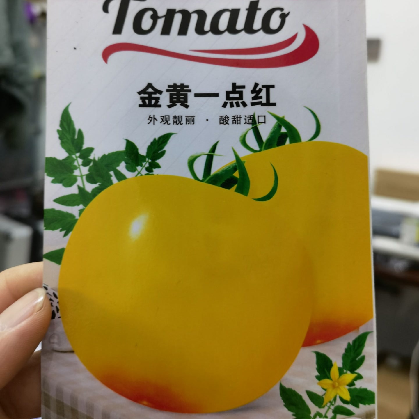龙丰秋玉一点红柿子种子