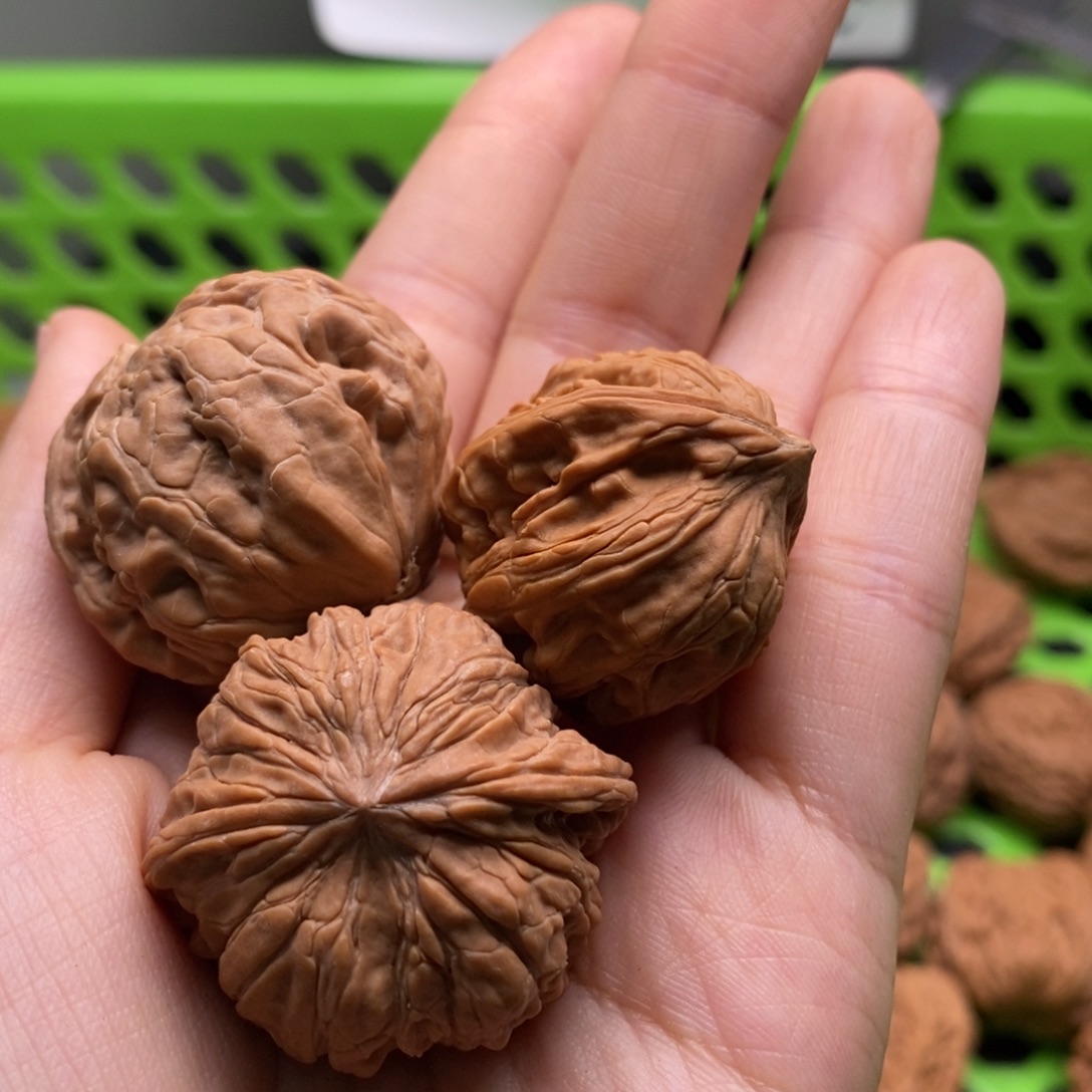 飞***觉核桃定制商品不退不换