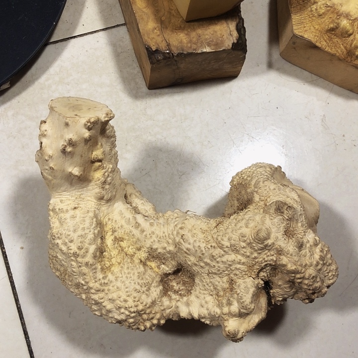 一***）木木料努力努力努力