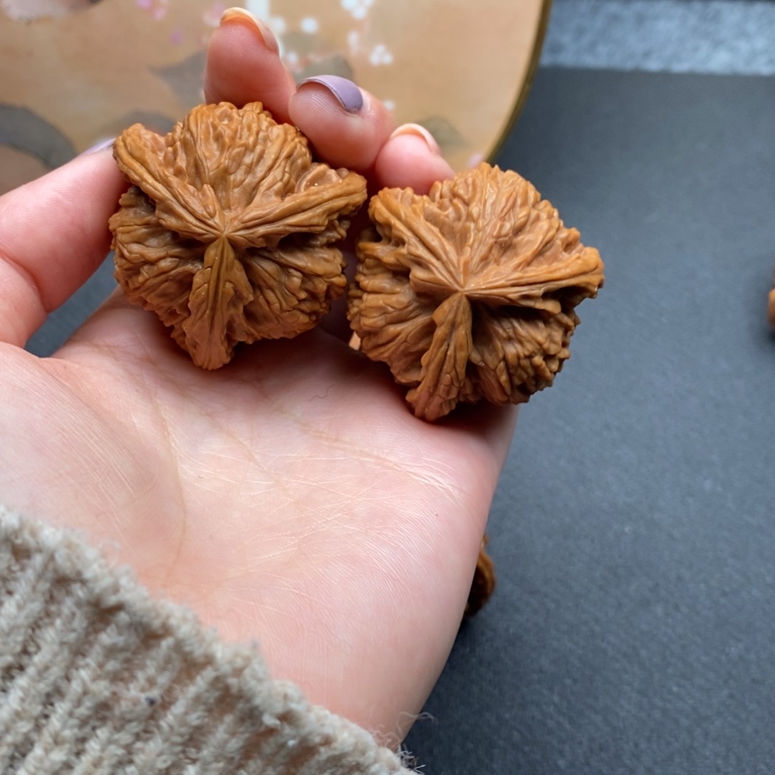 @****?白狮子111111111