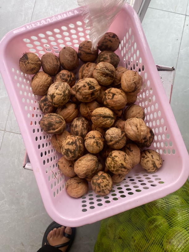 新疆核桃新鲜剥皮