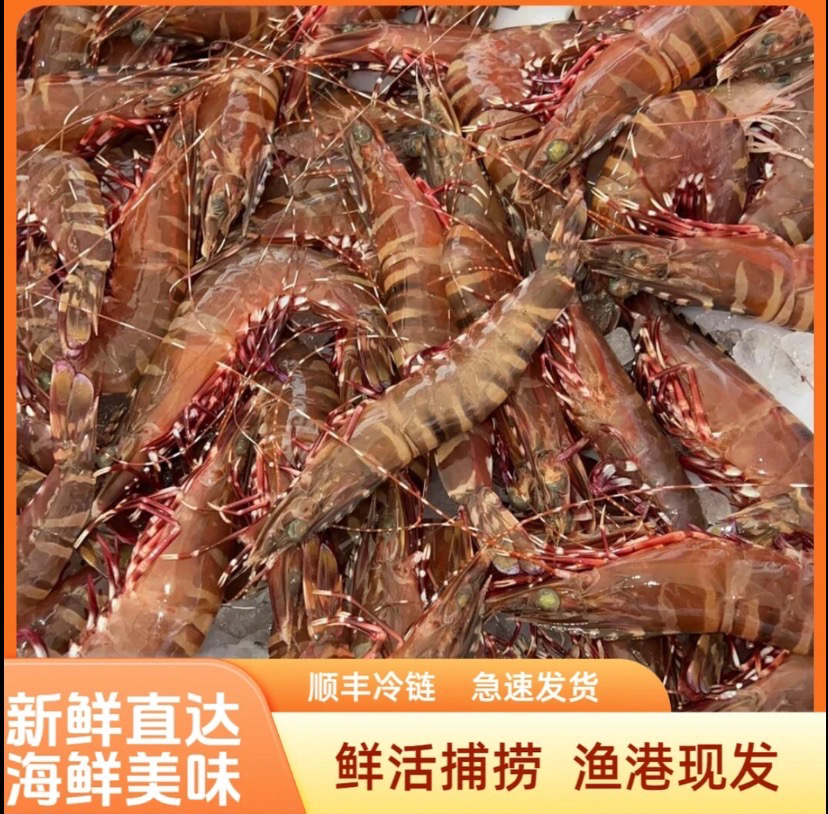 野生红爪虾 顺丰冷链 祥芝发货