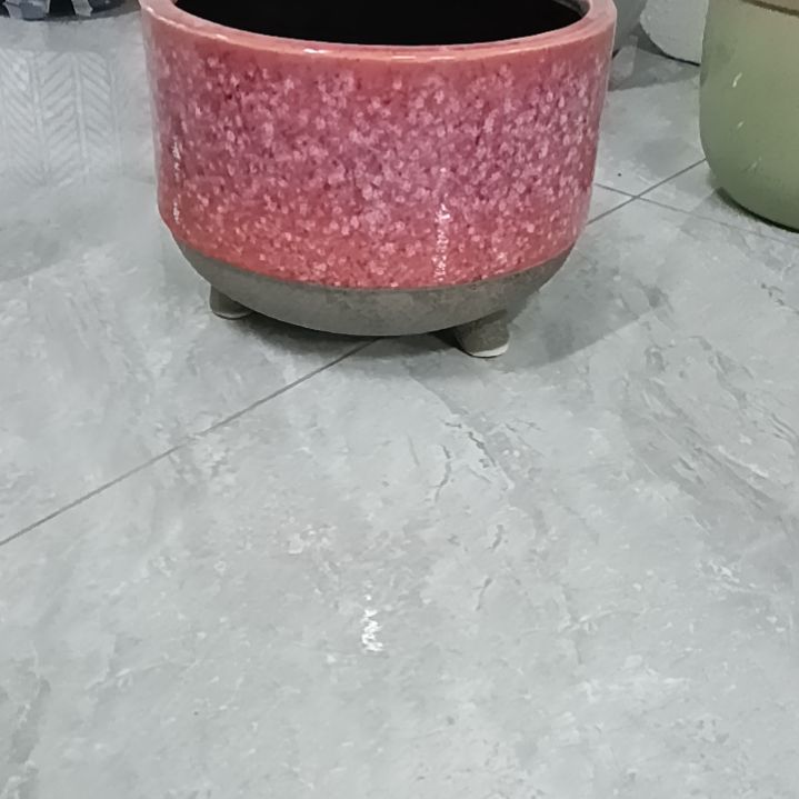 L***a花盆24464778988999