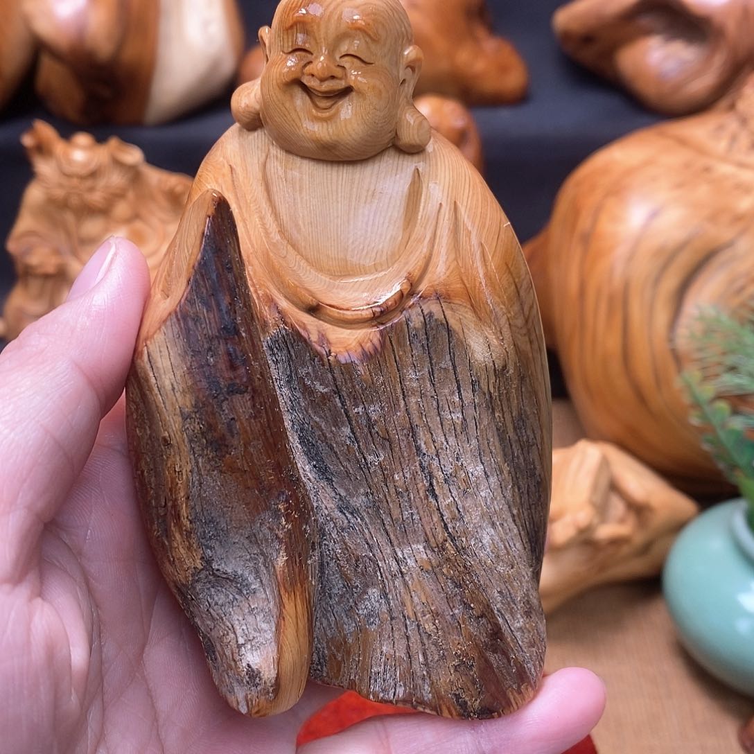 柏木（崖柏）一物一图