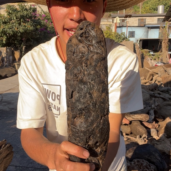 阴沉木铁栗木原材料