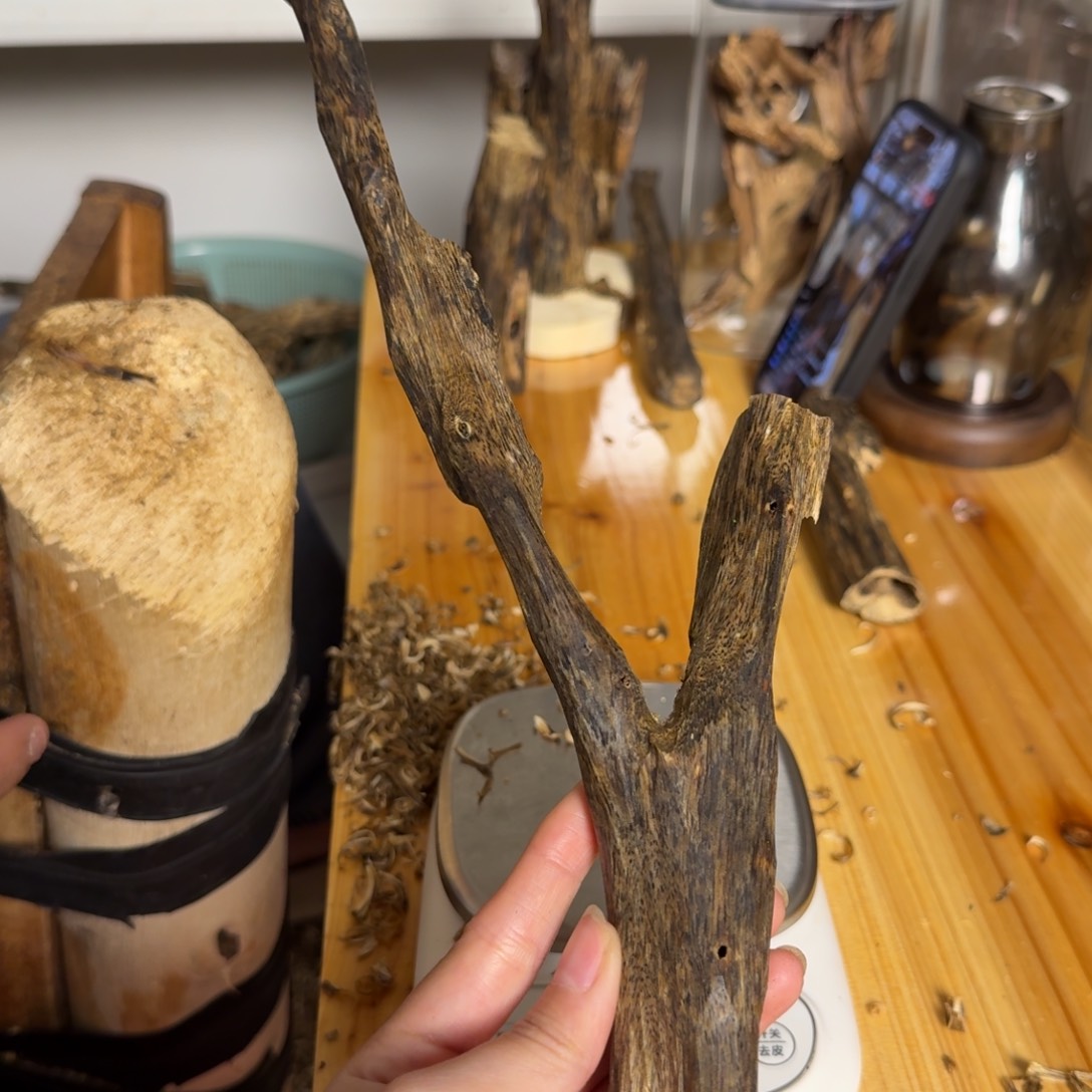 沉香绿奇虫漏香56克