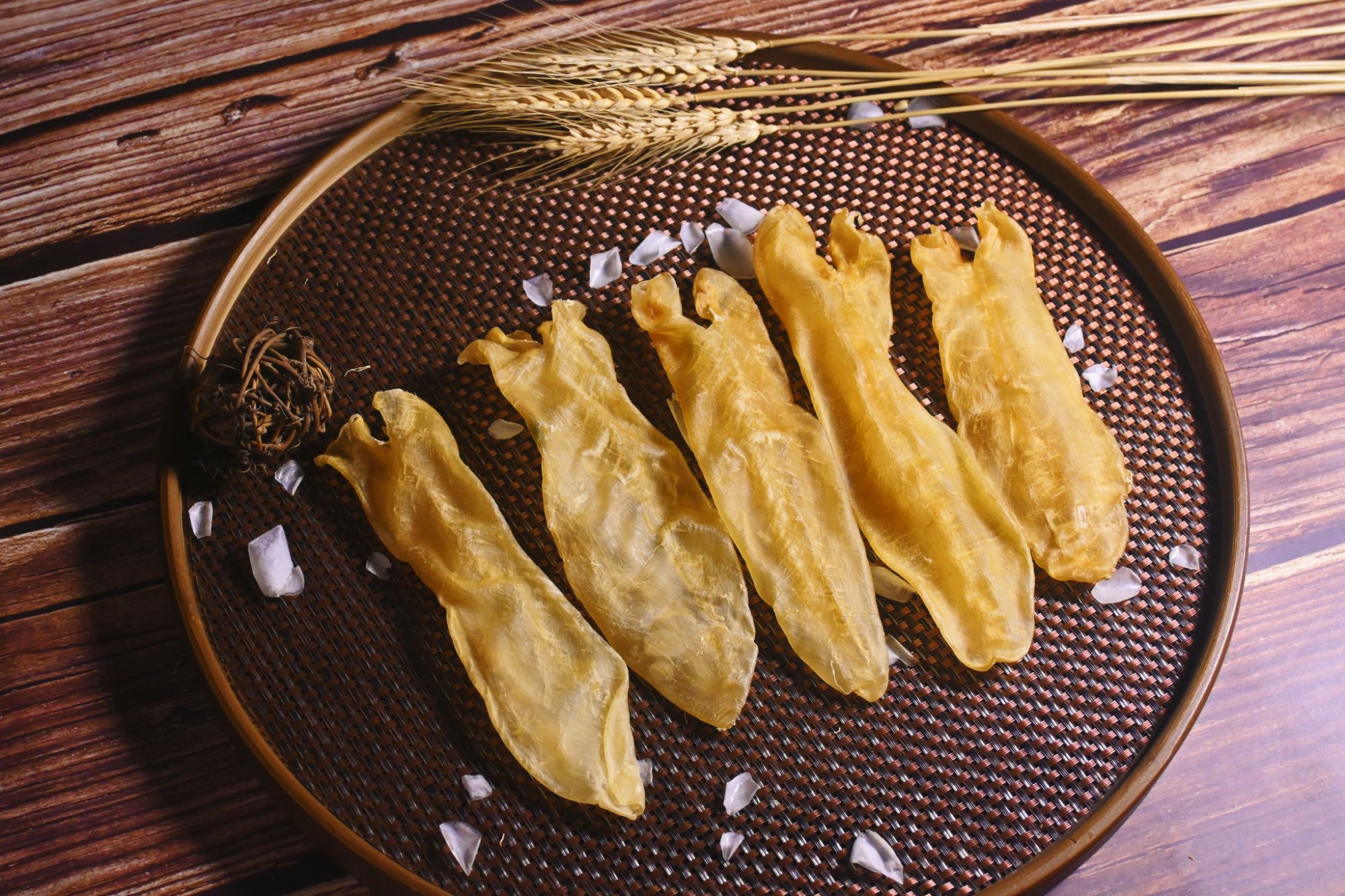 精选缅甸蜘蛛鱼胶30头