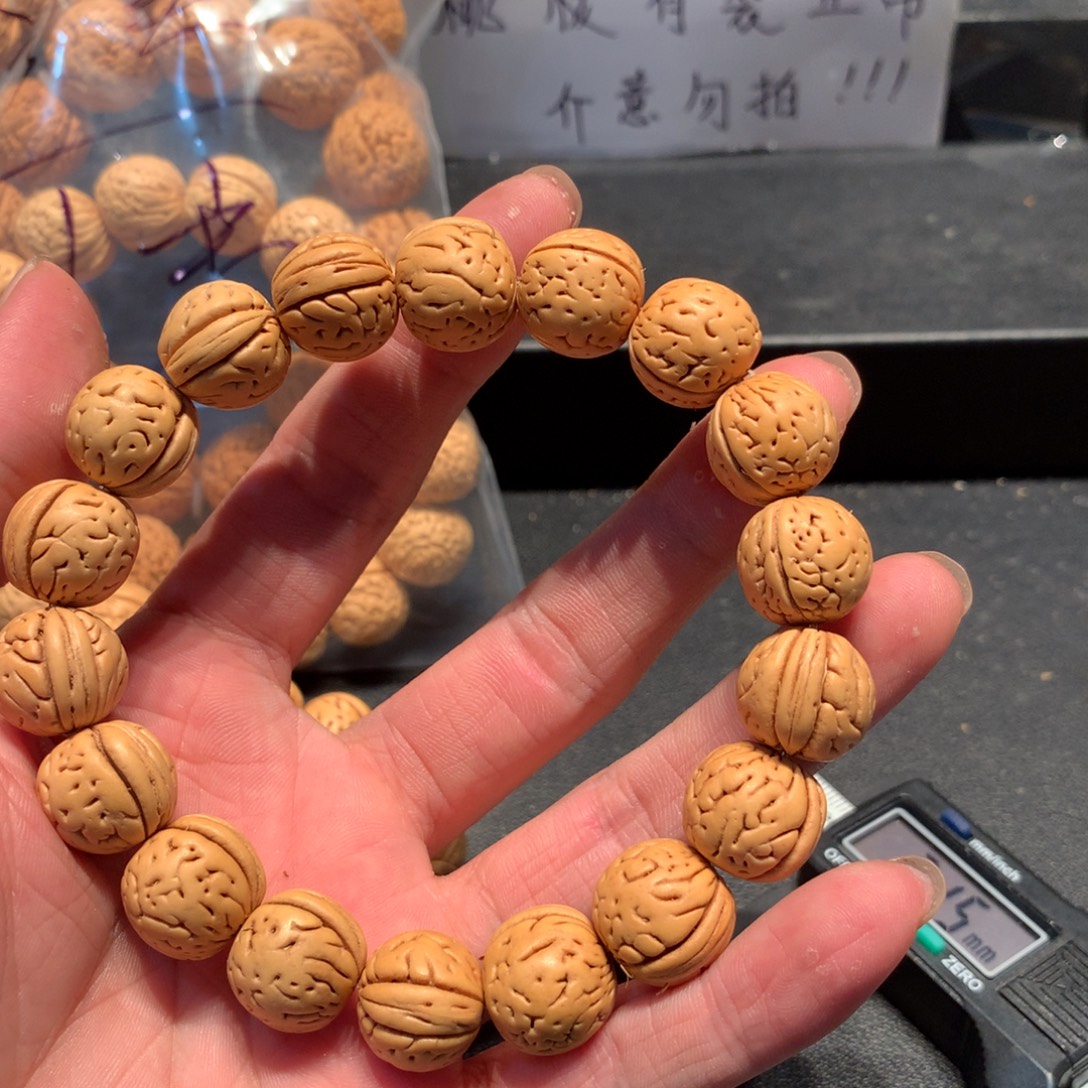 盘锦肌肉二十四链接