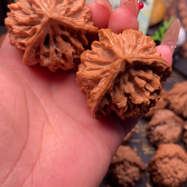 半***月核桃44尺秦岭野生龙鳞三棱