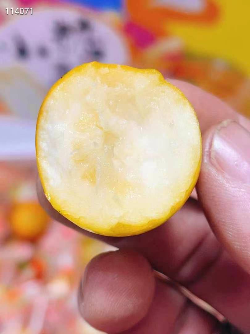 喜糖脆蜜金柑