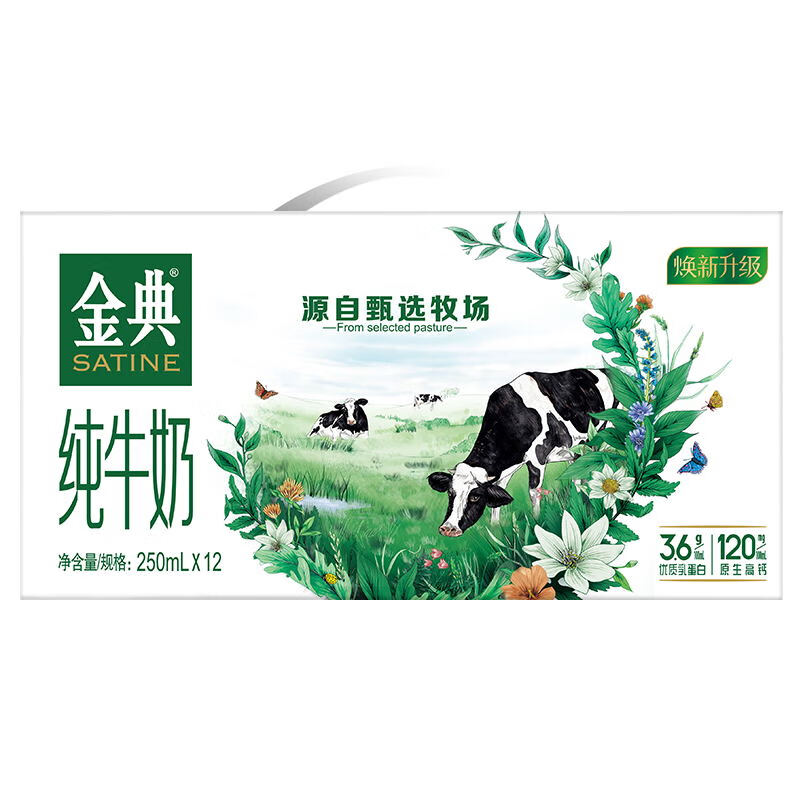 伊利金典纯牛奶250ml*12