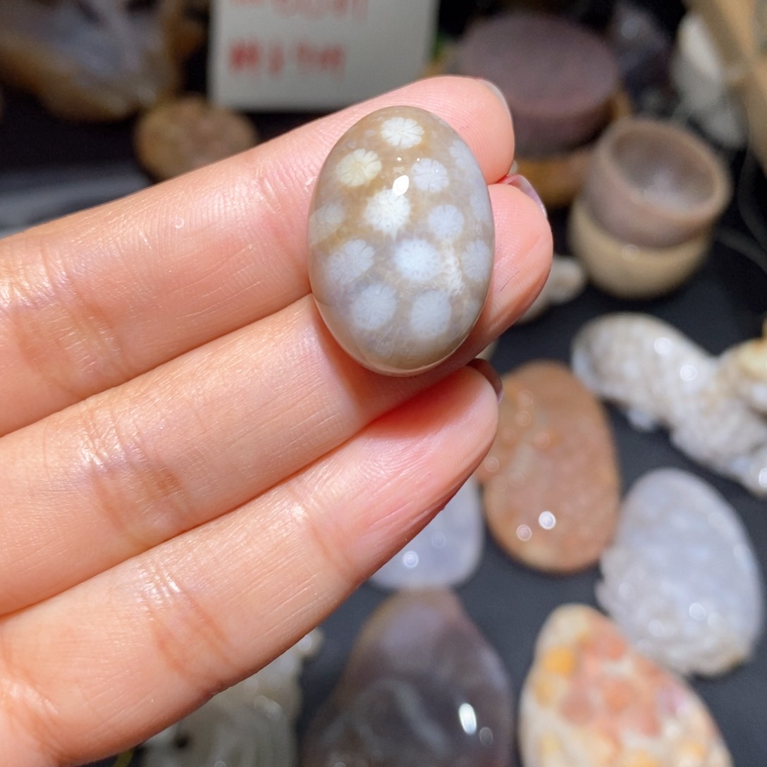 【闪购商品】硅化玉颈饰未镶嵌