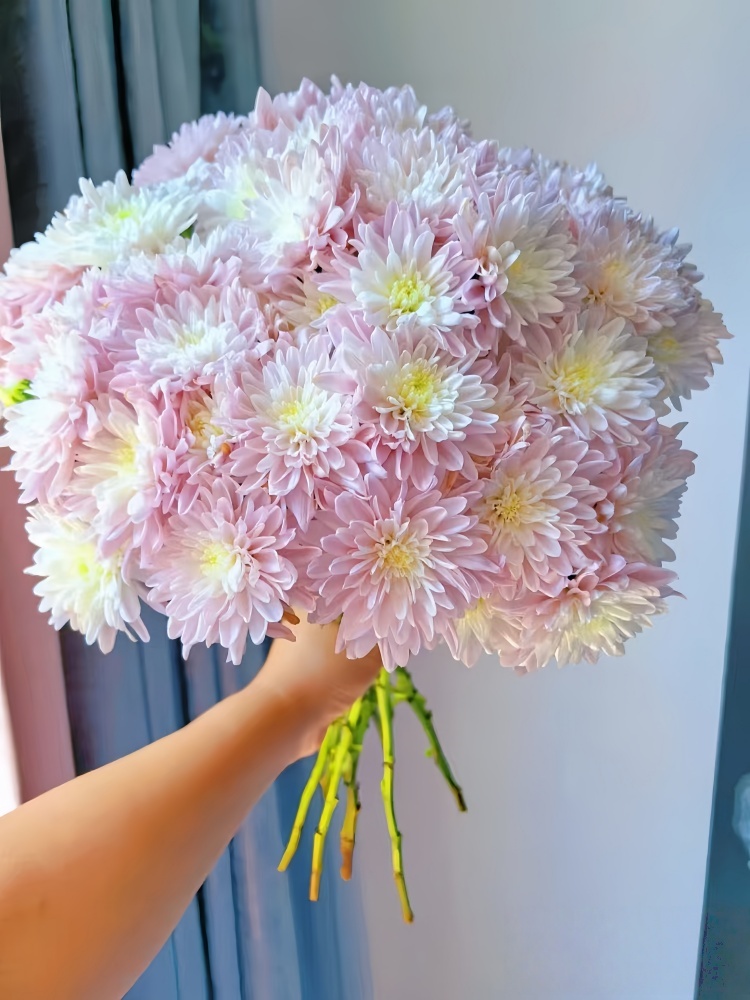 【蜜桃粉】多头鲜花小菊云南昆明基地直发精品鲜家庭水养插花