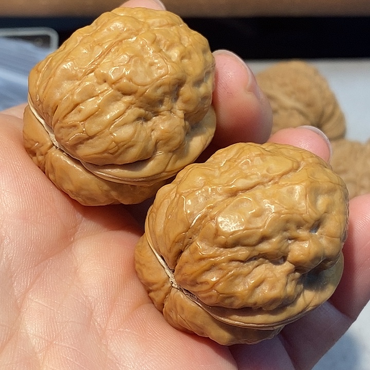 文玩核桃把件777777¥¥¥¥¥¥¥¥