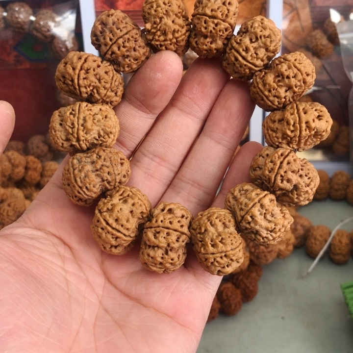 金刚菩提吊坠马*夹板