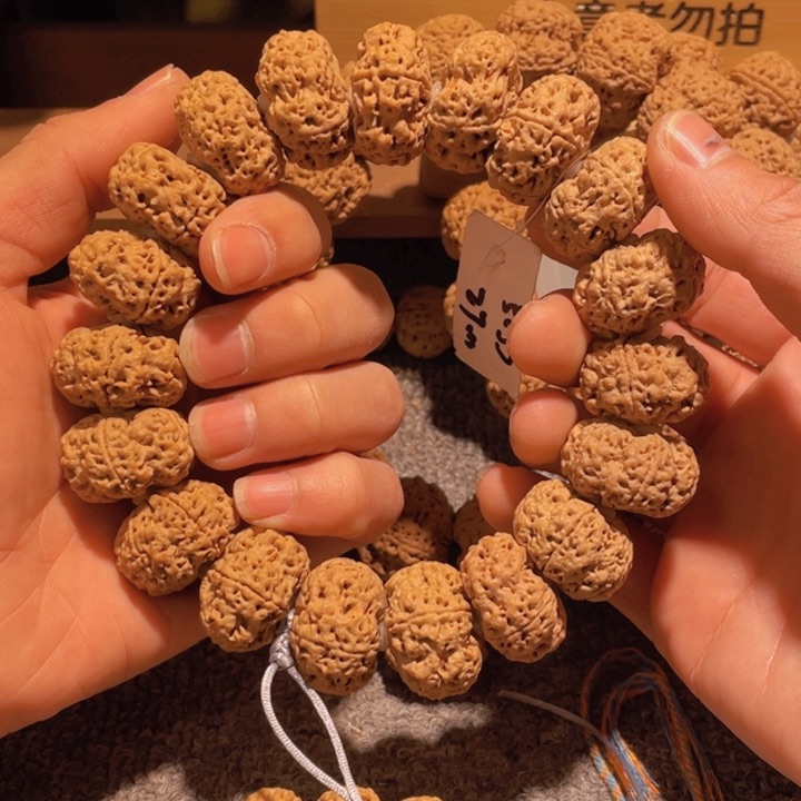 金刚菩提手串?**?多会回学校的我想