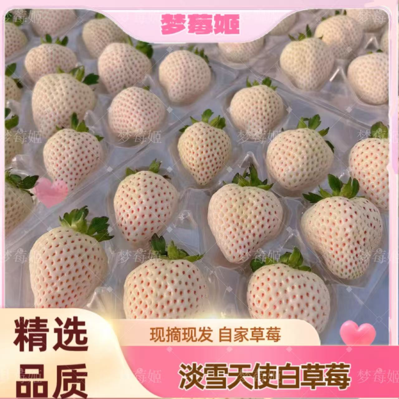 【顺丰包邮】淡雪草莓白草莓梦之莹草莓香甜奶油草莓孕妇水果礼盒