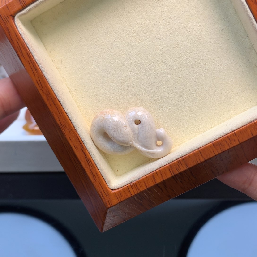 硅化珊瑚（珊瑚玉）颈饰未镶嵌