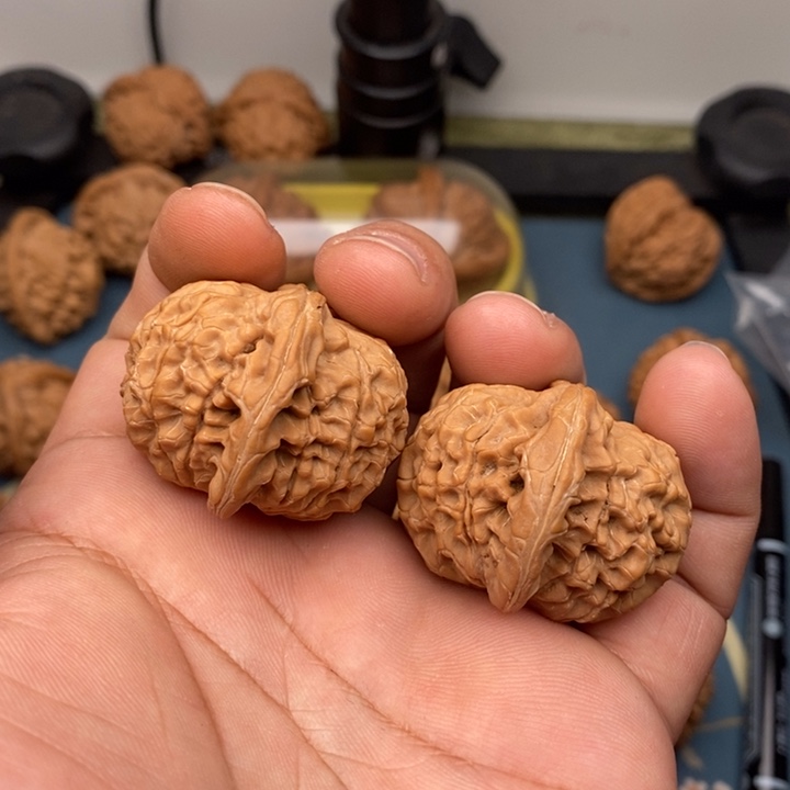 文玩核桃把件核王8