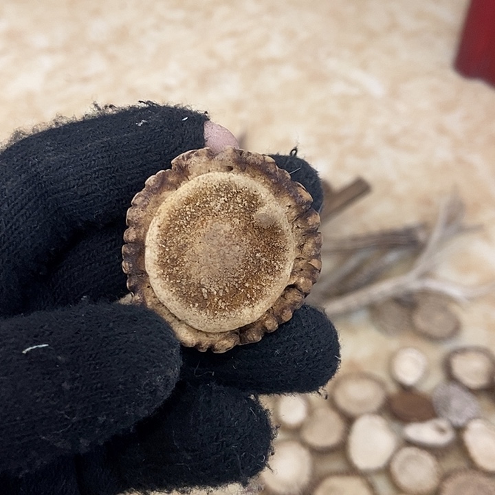 木***_大叶紫檀（黑酸枝木类）