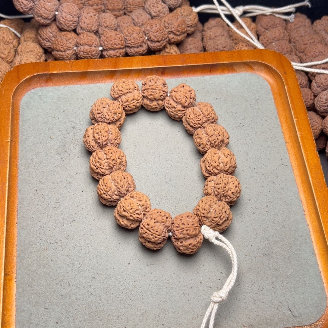 菩提8号金刚菩提深沟梅花矮桩23