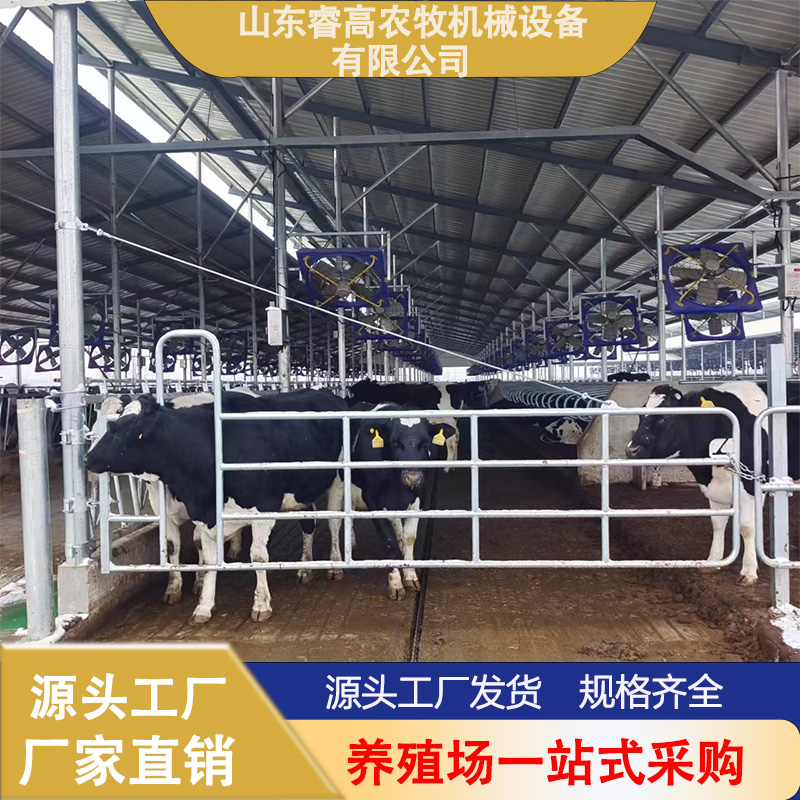 奶牛专用牛卧床加厚热镀锌隔栏门牛卧栏配件牛限位栏牛栏畜牧工具